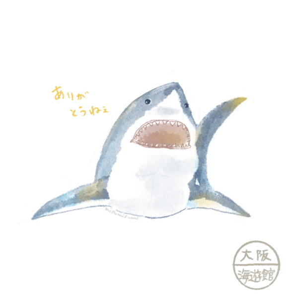 またねメガロドン